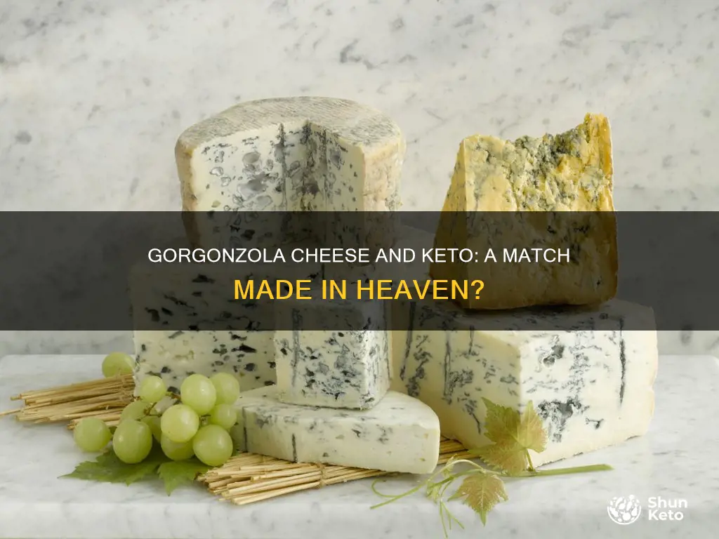 is gorgonzola cheese keto