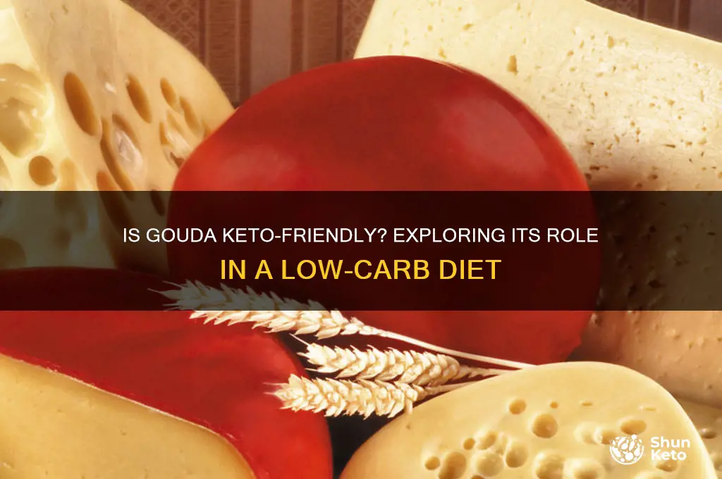 is gouda keto