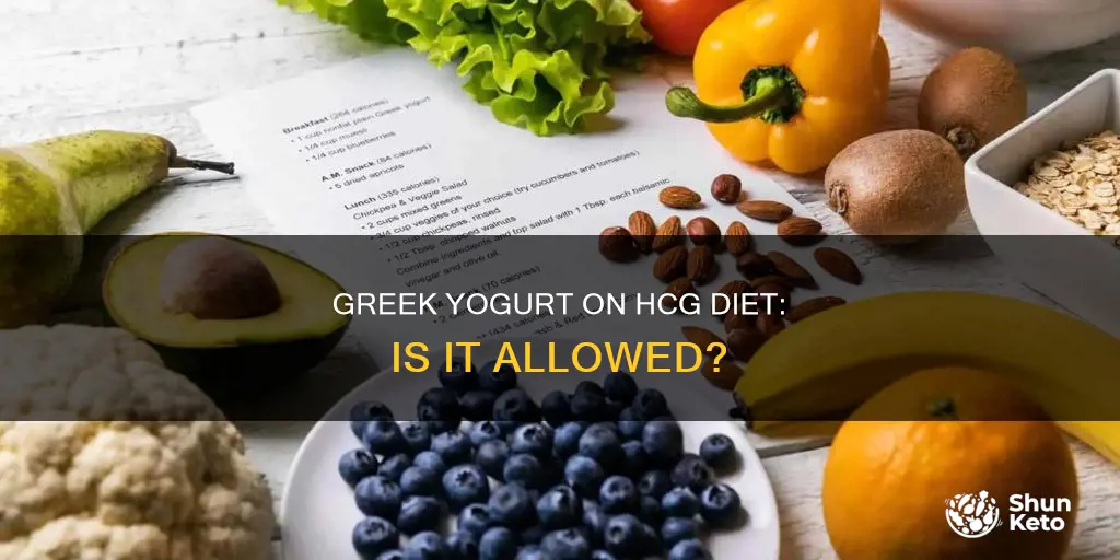 is greek yogurt allowed on hcg diet