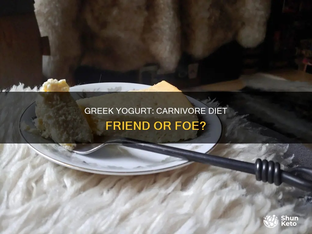 is greek yogurt ok for carnivore diet