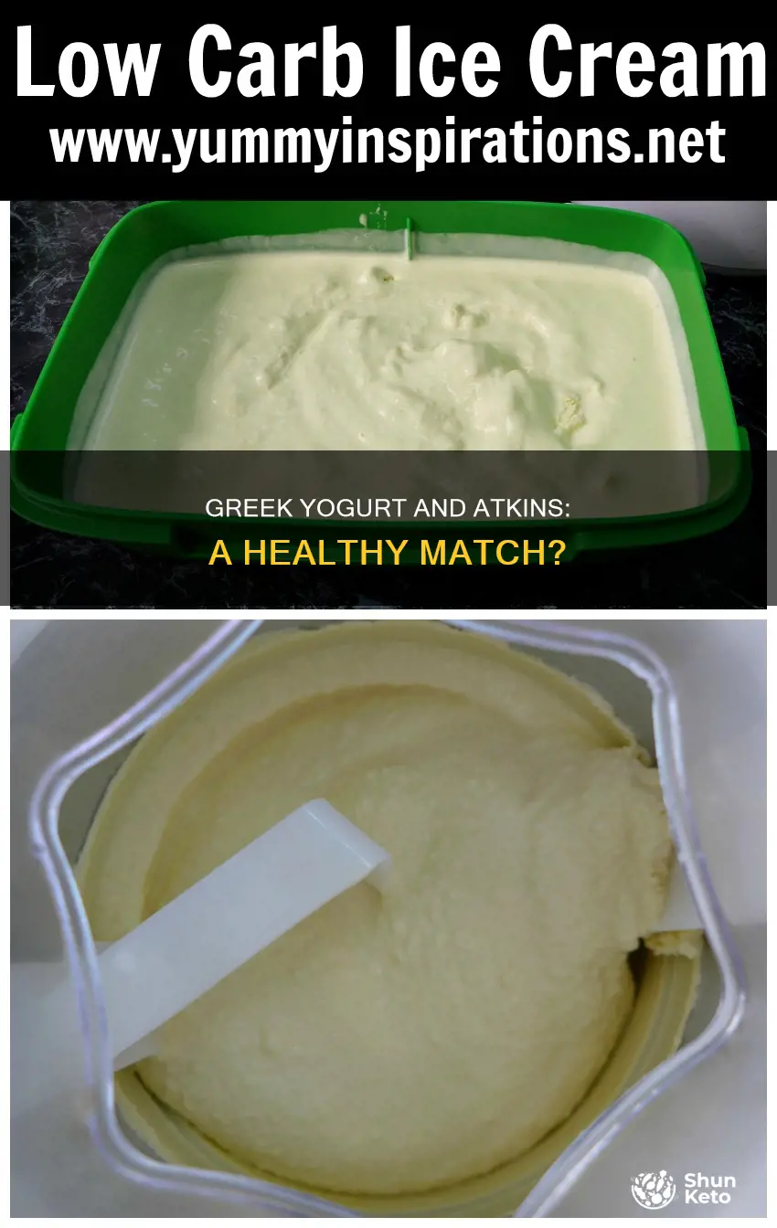 is greek yogurt ok on atkins diet