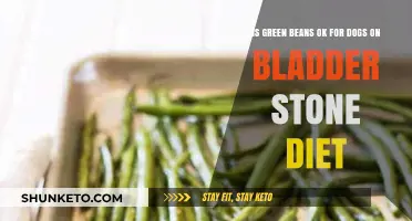 Green Beans for Dogs: Bladder Stone Diet-Friendly?