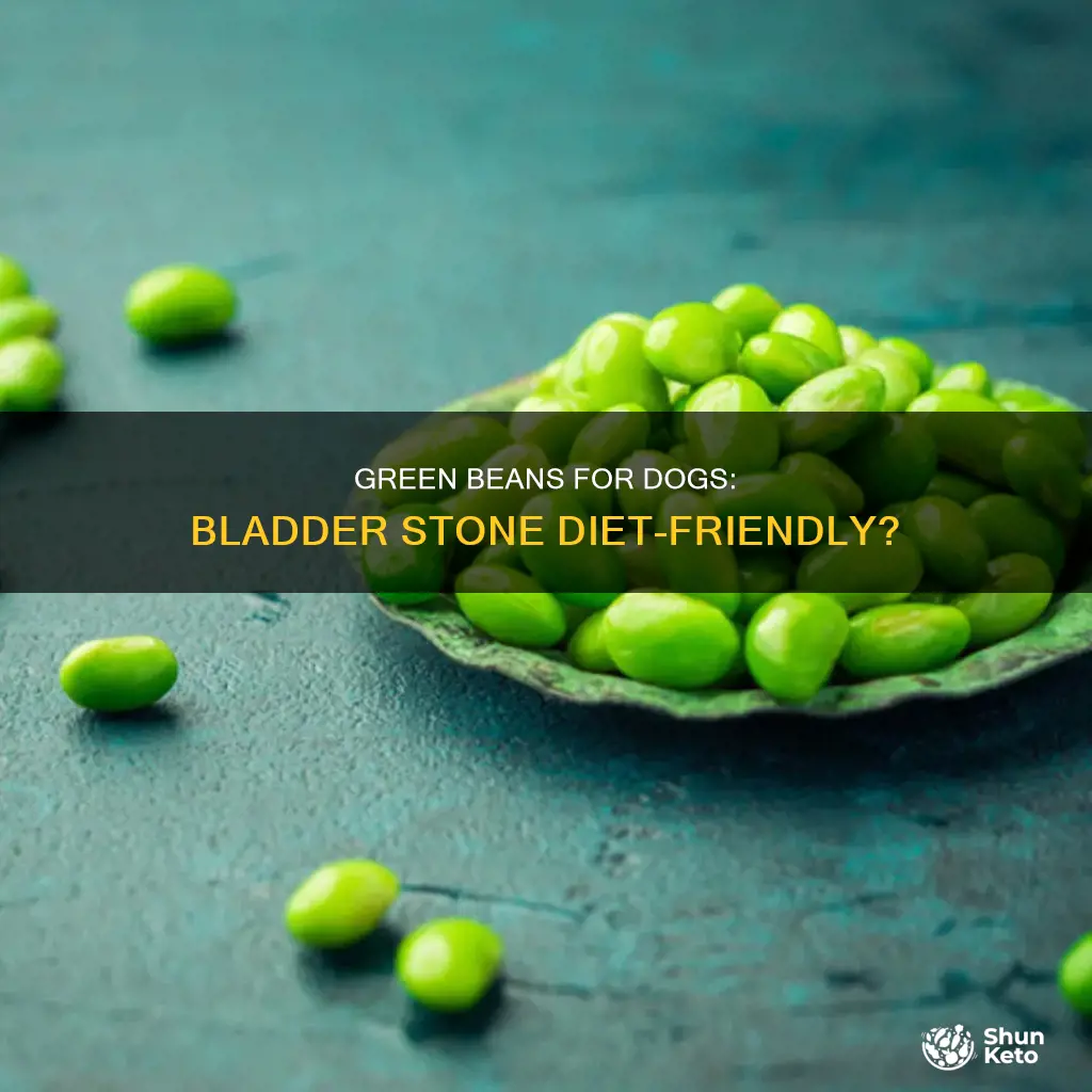 is green beans ok for dogs on bladder stone diet