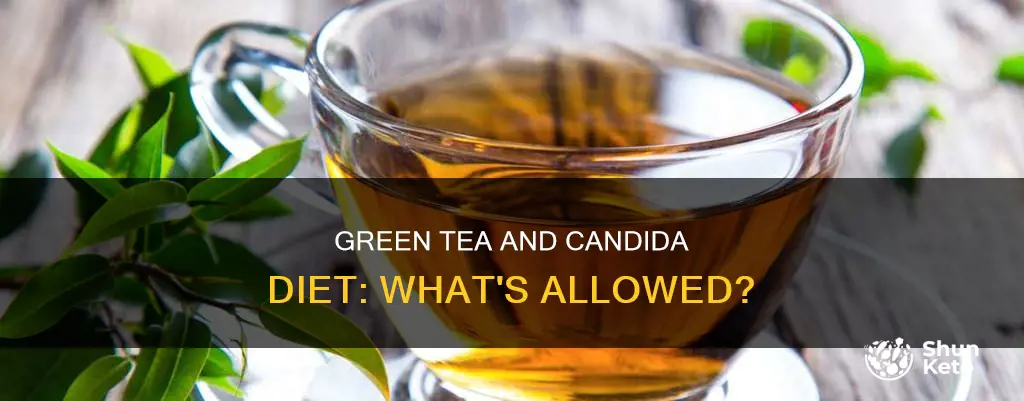 is green tea allowed on candida diet
