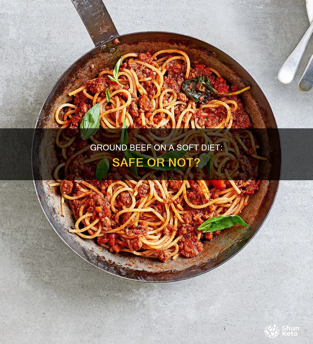 is ground beef safe for a soft diet