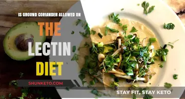 Coriander Conundrum: Lectin Diet-Friendly Spice?