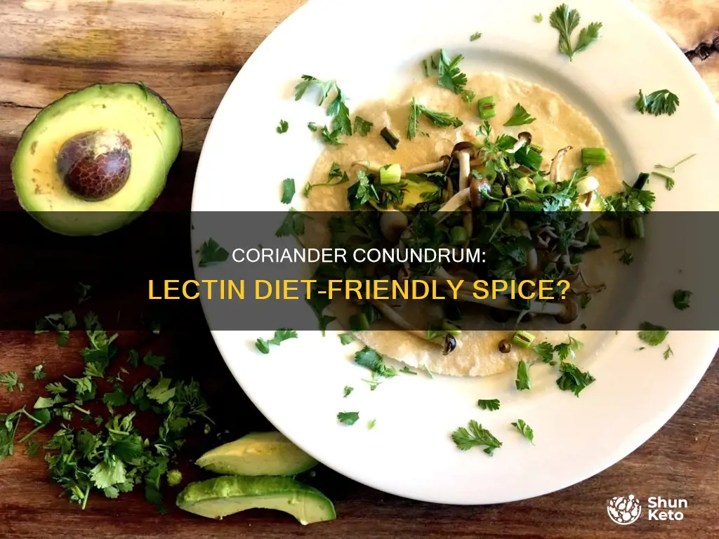is ground coriander allowed on the lectin diet