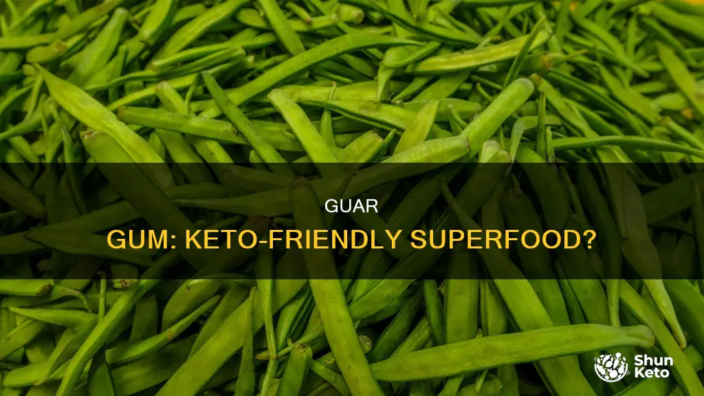 is guar gum keto approved