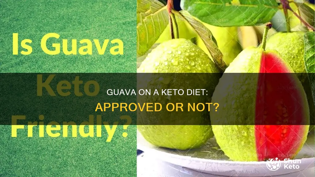 is guava keto approved