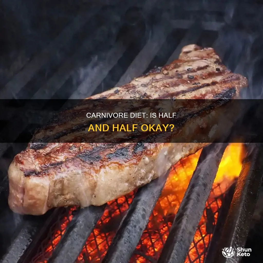 is half and half ok on carnivore diet