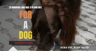 Rice and Hamburgers: A Bland Diet for Dogs?