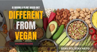 Plant-Based vs. Vegan: What's the Real Difference?