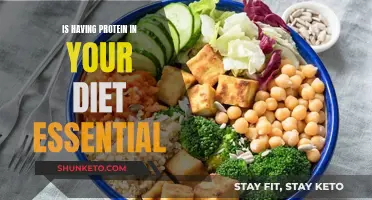 Protein Power: Essential Dietary Component for Healthy Living