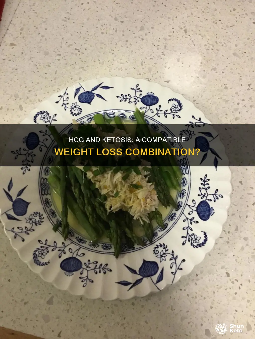 is hcg a ketosis diet
