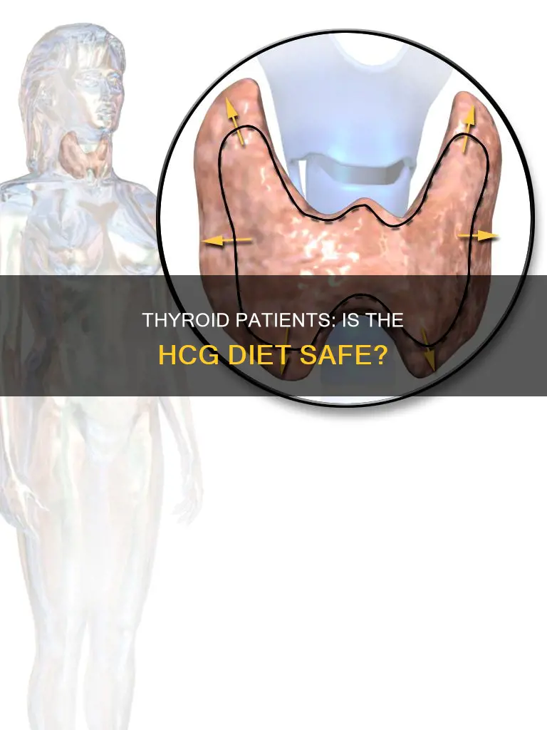 is hcg diet safe for thyroid patients