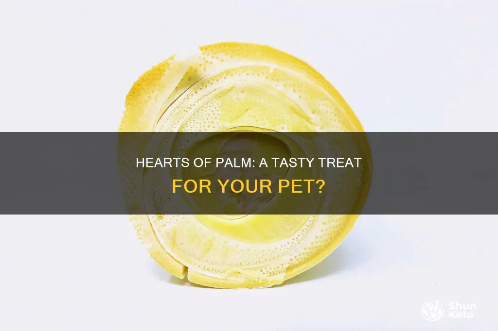 is hearts of palm ok on animal diet