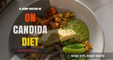 Hemp Protein Benefits for Candida Dieters