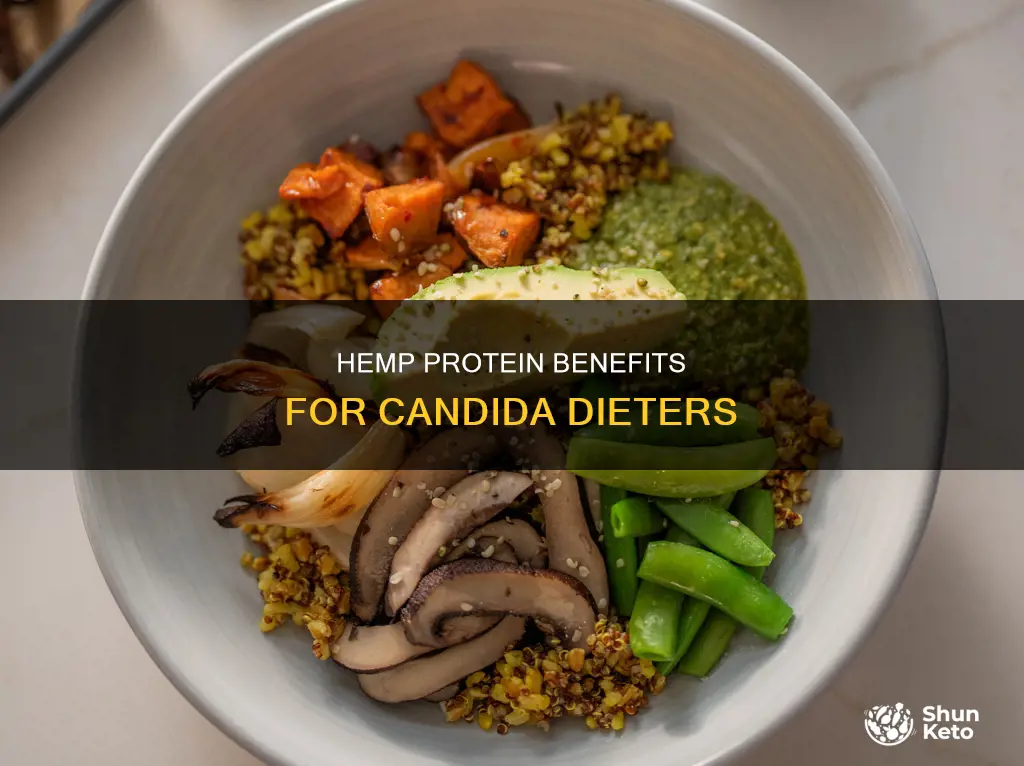 is hemp protein ok on candida diet