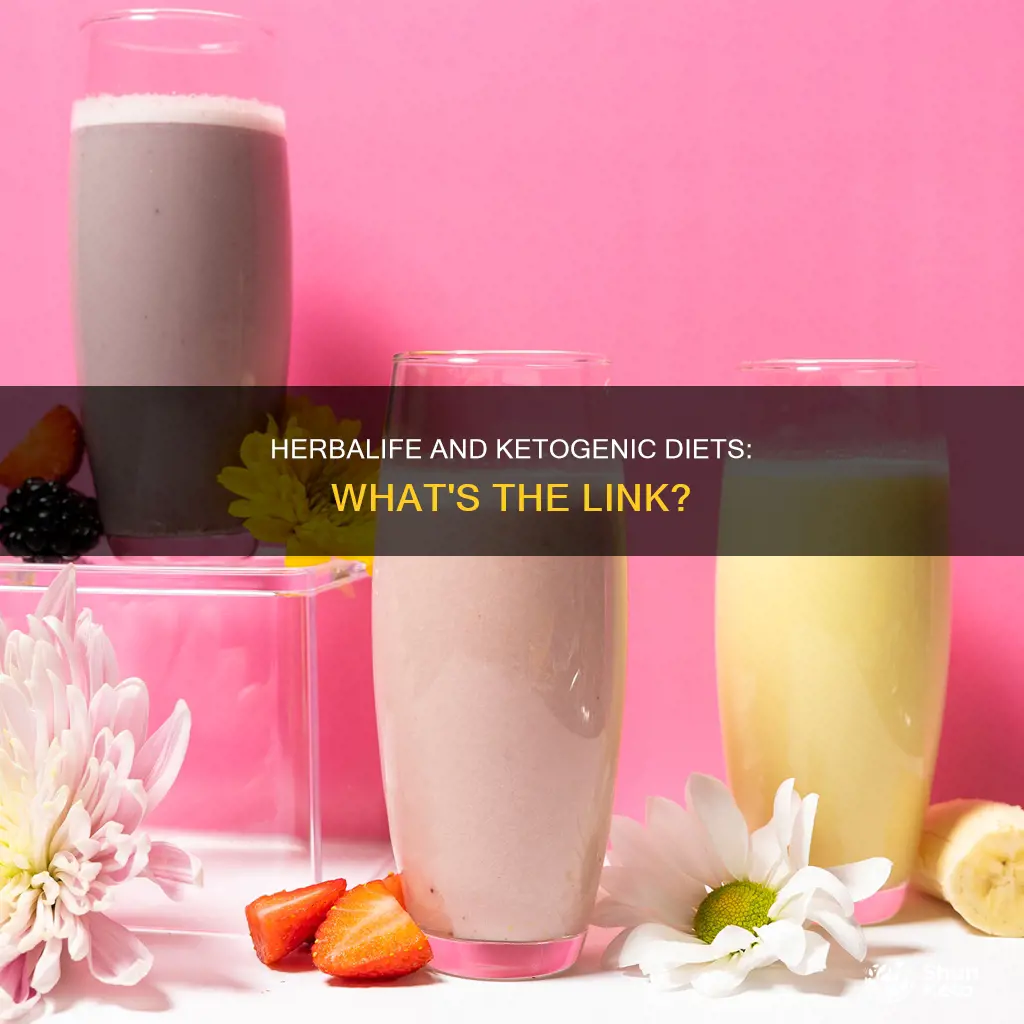 is herbalife a ketogenic diet