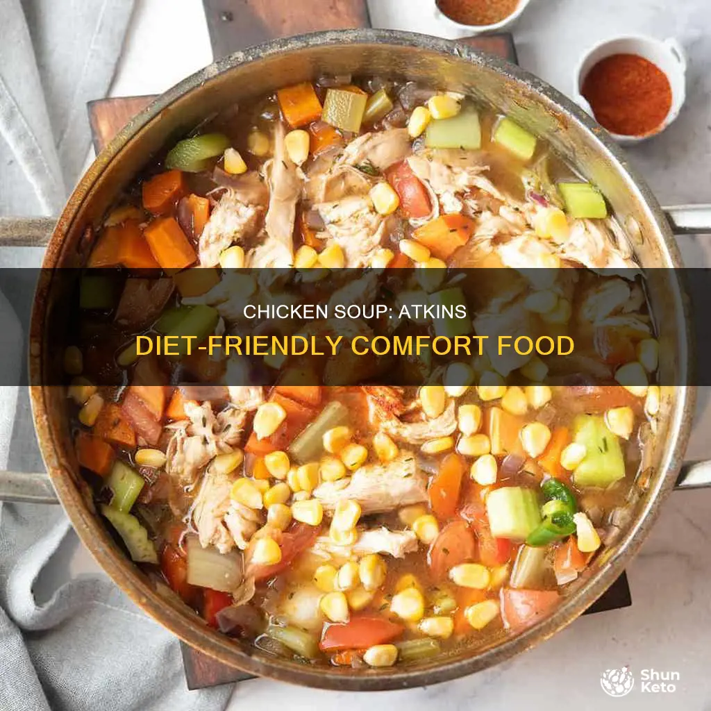is homemade chicken soup ok on atkins diet