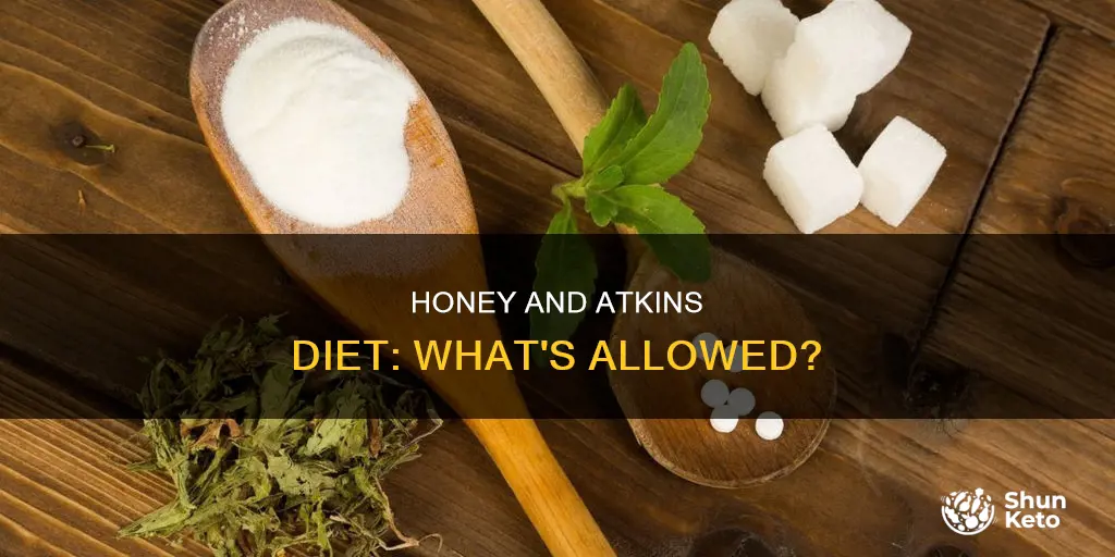 is honey allowed on atkins diet