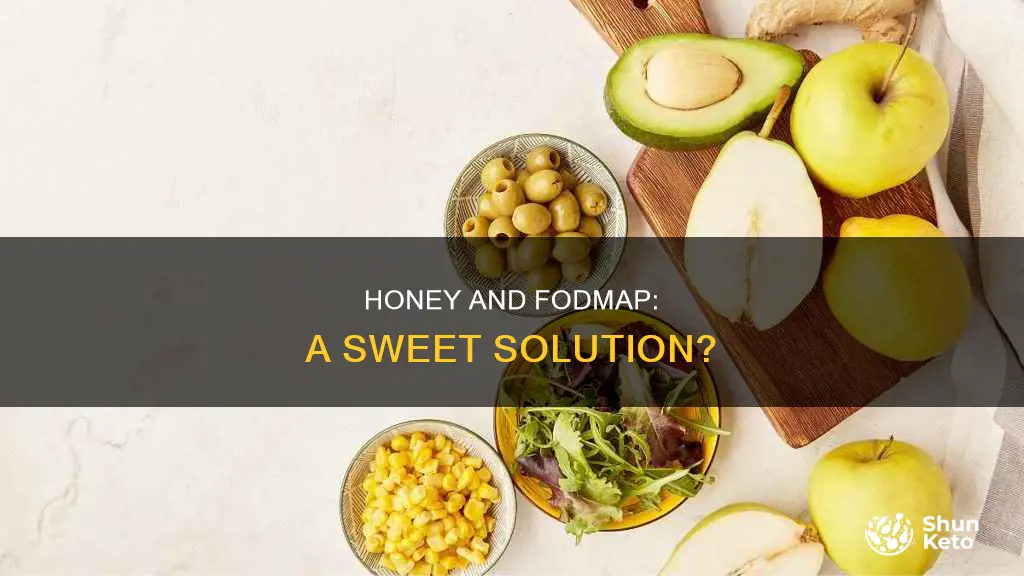 is honey allowed on fodmap diet