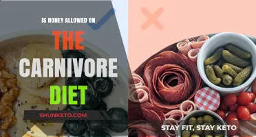Honey on Carnivore Diet: Friend or Foe?