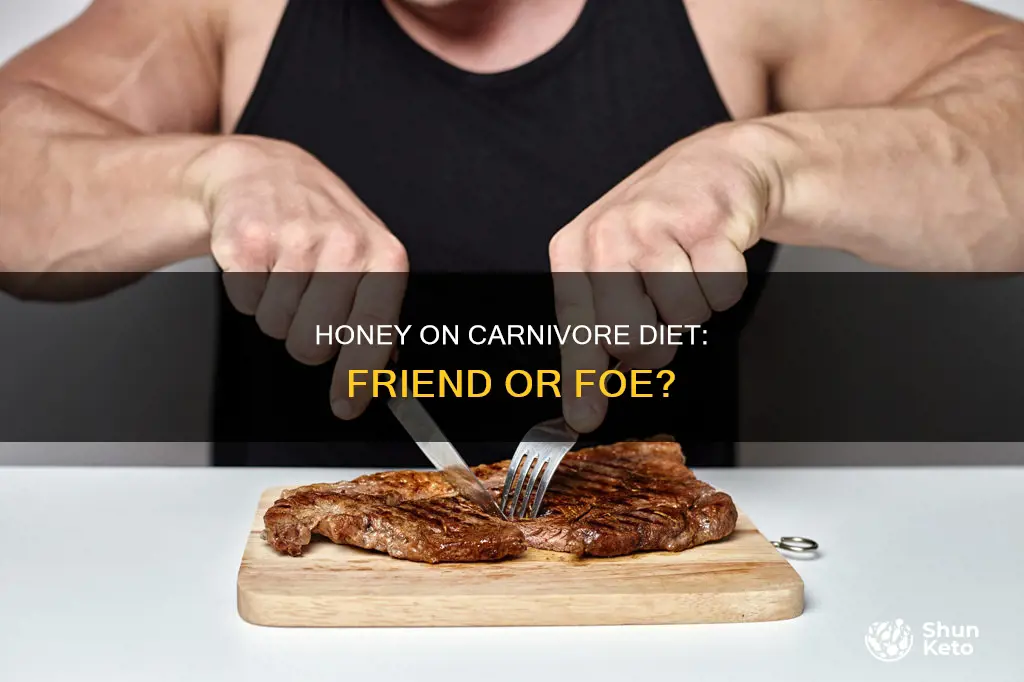 is honey allowed on the carnivore diet