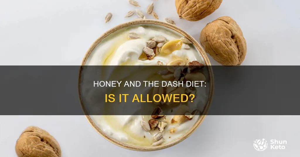 is honey allowed on the dash diet
