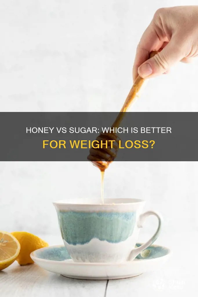 is honey better than sugar when dieting
