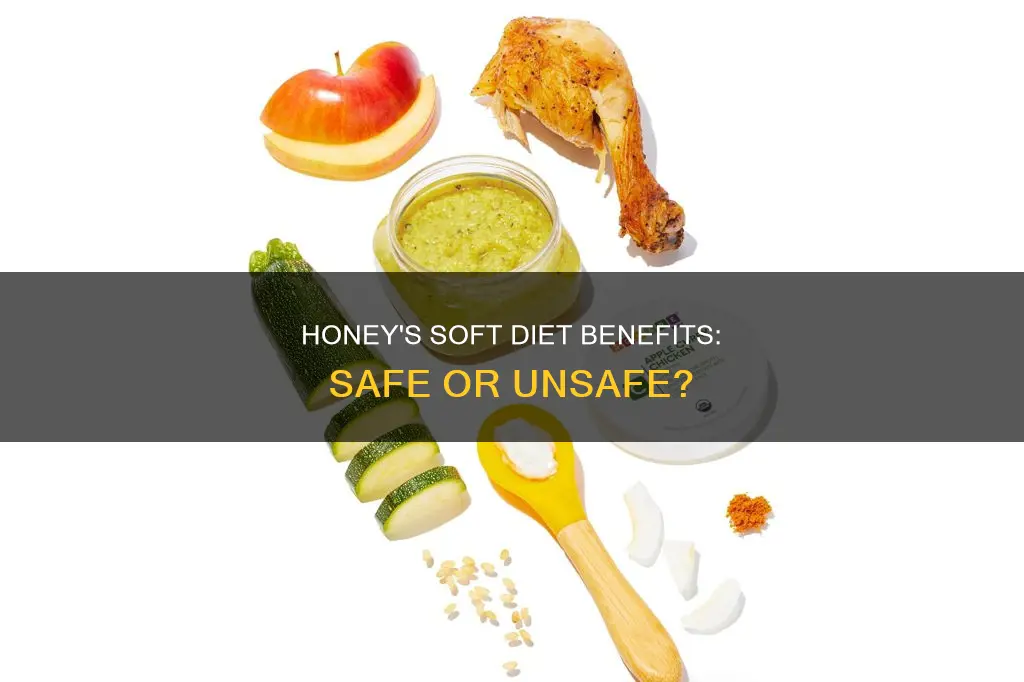 is honey ok for soft diets