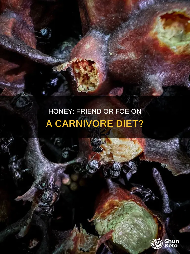 is honey ok on carnivore diet