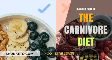 Carnivore Diet: Is Honey an Exception?