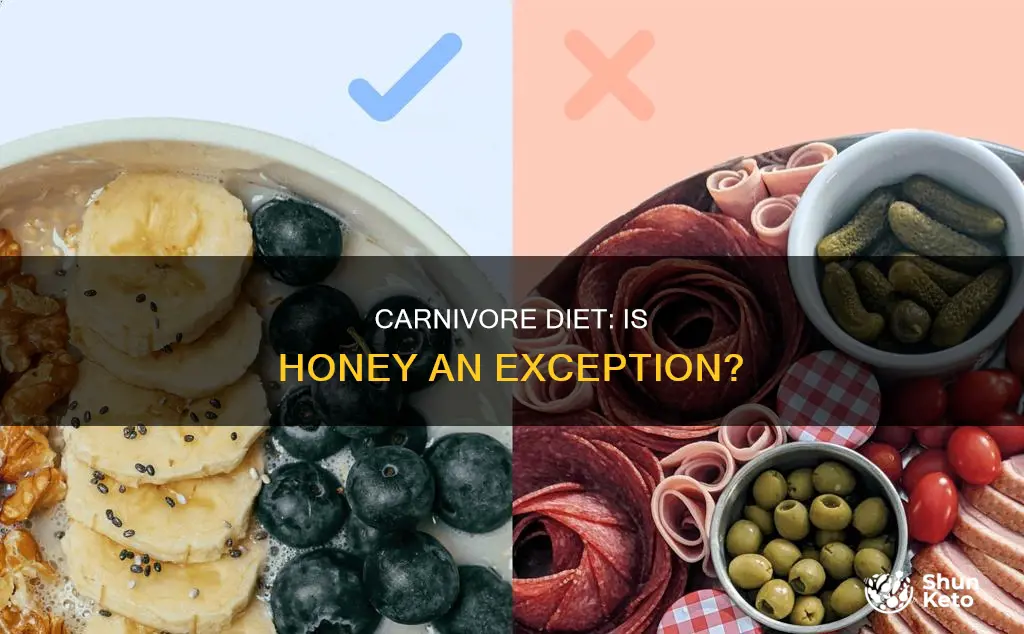 is honey part of the carnivore diet
