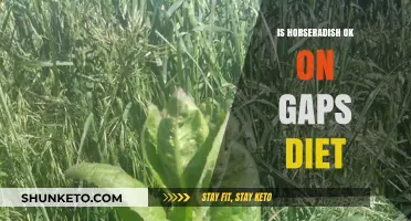 Horseradish on GAPS Diet: Is It Safe?
