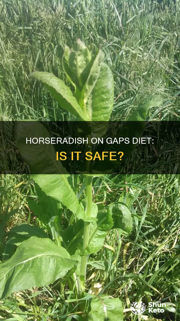 is horseradish ok on gaps diet