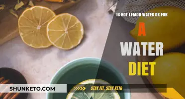 Lemon Water: A Healthy Water Diet Option?