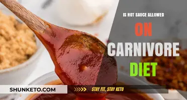Hot Sauce on Carnivore Diet: Yay or Nay?