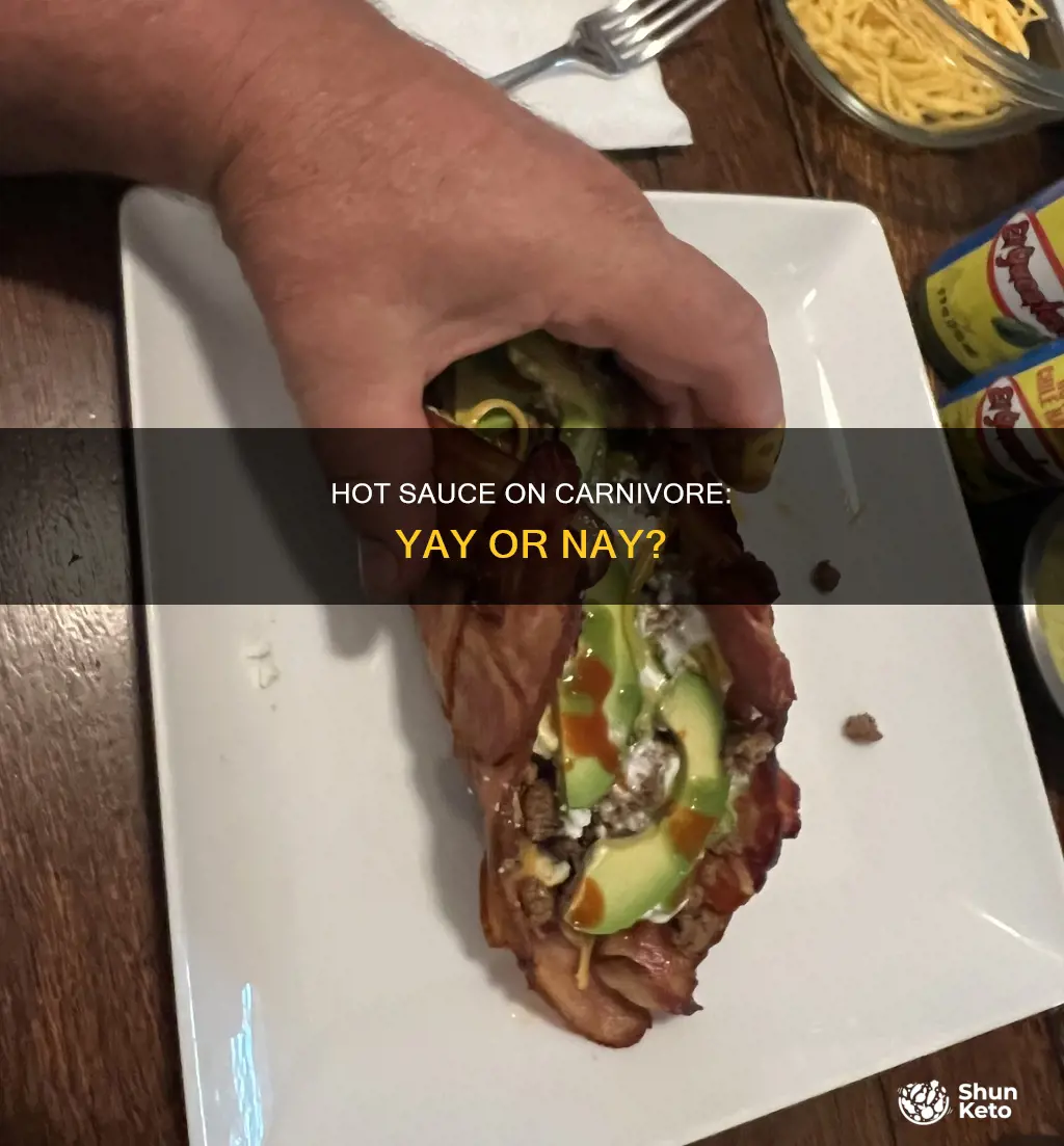 is hot sauce ok on carnivore diet