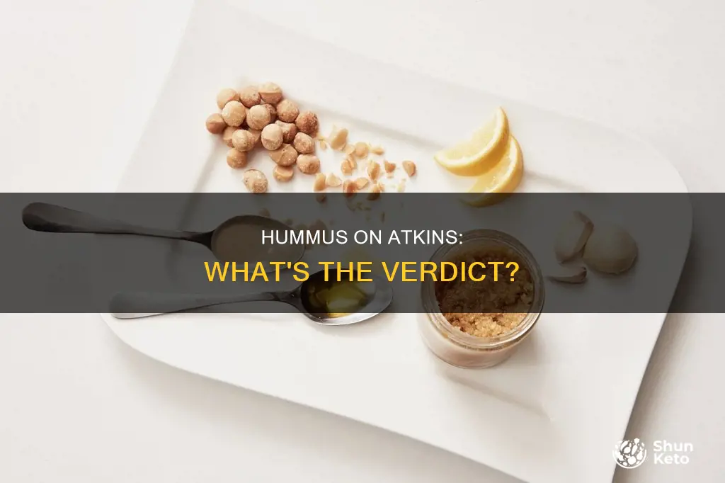 is hummus allowed on atkins diet