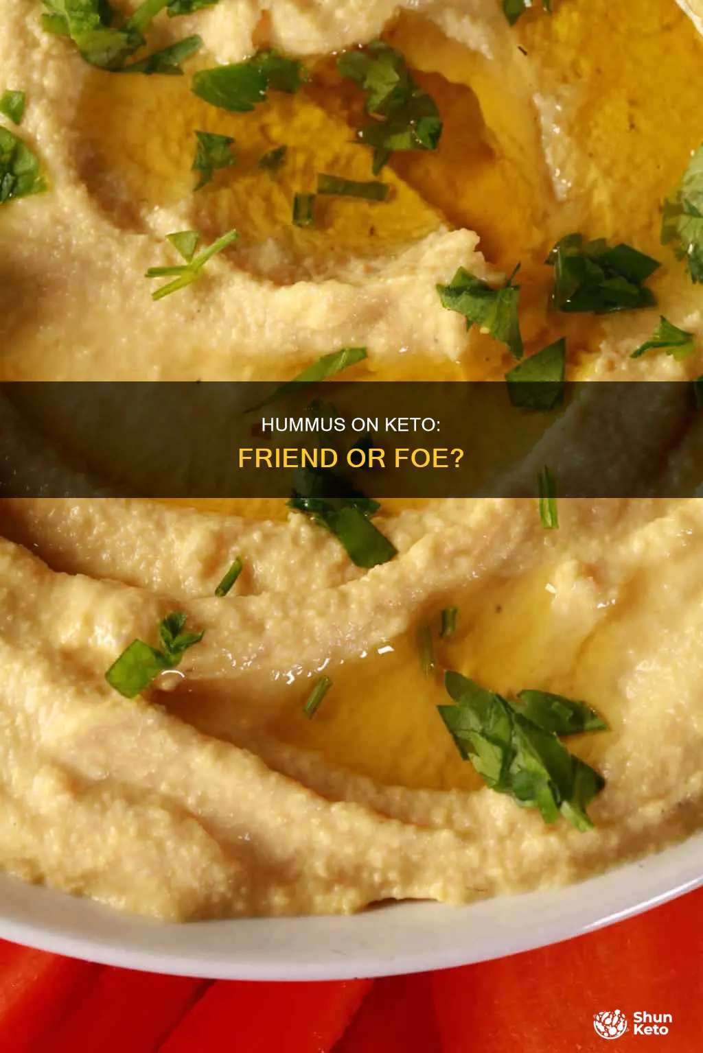 is hummus allowed on ketogenic diet