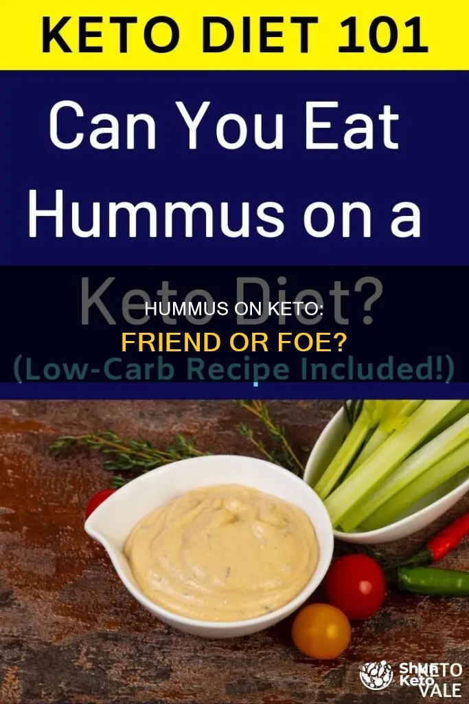 is hummus ok on a ketogenic diet