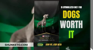 Hydrolyzed Diets for Dogs: Are They Worth the Hype?