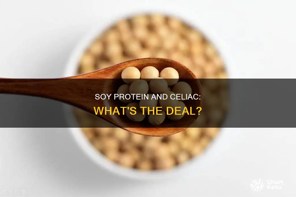 is hydrolyzed soy protein allowed on the celiac diet