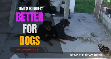 IAMS vs Science Diet: Which Food is Better for Dogs?