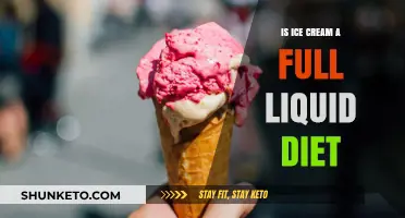 Liquid Diets: Can You Include Ice Cream?