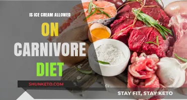 Carnivore Diet: Is Ice Cream Allowed?