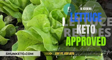 Is Iceberg Lettuce Keto-Friendly?