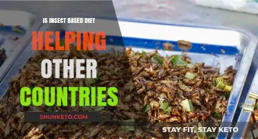 Insect-based Diets: A Global Food Solution?