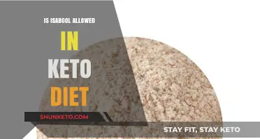 Is Isabgol Keto-Friendly? Exploring Its Role in a Low-Carb Diet